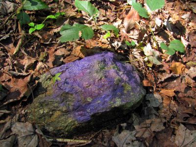 Purple rock
