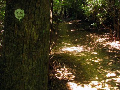 Trail leading out of Upper Creek up towards NC highway 181
