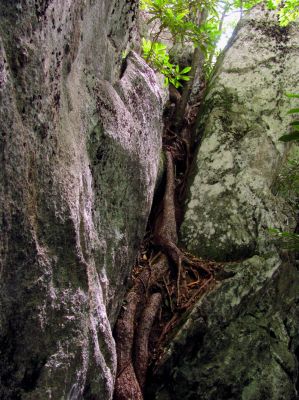 Nice rock formations we found hidden behind the trees along NC highway 181
