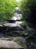 Filename=2895.jpg
Filesize=279KiB
Dimensions=800x1067
Date added=Nov 22, 2012 2895.jpg
