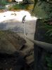 Filename=3238.jpg
Filesize=173KiB
Dimensions=800x1067
Date added=Nov 22, 2012 3238.jpg