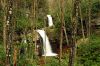 1465.jpg