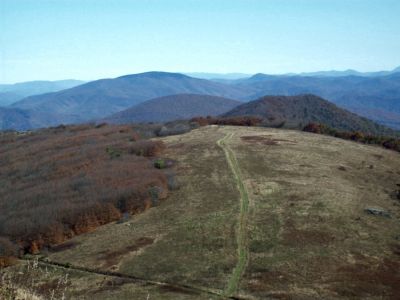 bigbald_view11.jpg