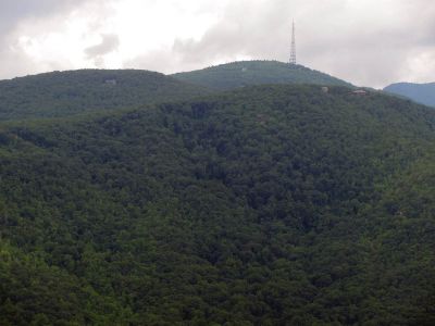 Taken 7-16-2012
