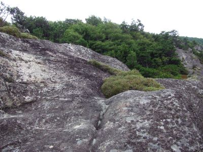 Taken 7-16-2012
