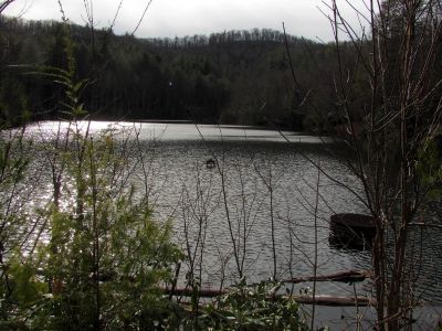 Taken Feb 3, 2012
