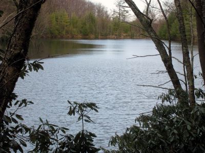 Taken Feb 3, 2012
