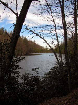 Taken Feb 3, 2012
