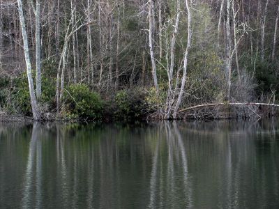Taken Feb 3, 2012
