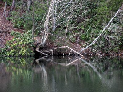 Taken Feb 3, 2012
