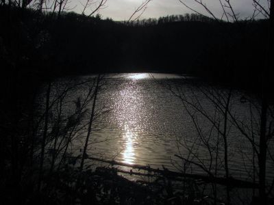 Taken Feb 3, 2012
