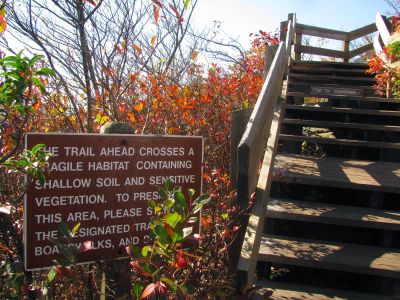 Sign where the boardwalks begin on the Rough Ridge Trail Taken Oct 21, 2012

