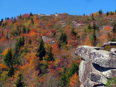 View from the Rough Ridge Trail Taken Oct 21, 2012
