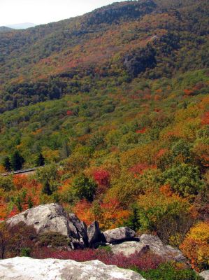 View from the Rough Ridge Trail Taken Oct 21, 2012
