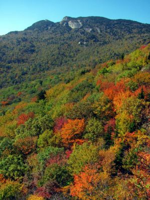 View from the Rough Ridge Trail Taken Oct 21, 2012
