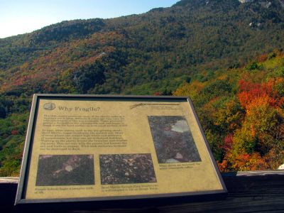 View from the Rough Ridge Trail Taken Oct 21, 2012
