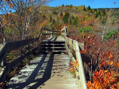 View from the Rough Ridge Trail Taken Oct 21, 2012
