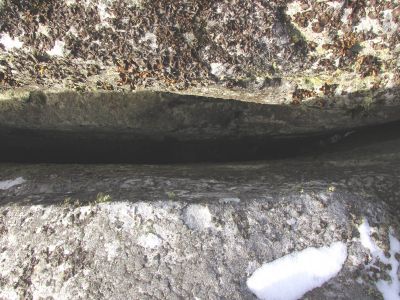 4257.jpg