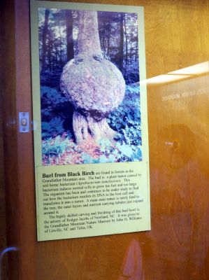 Taken inside the Grandfather Mountain Park Museum 10-19-2012
