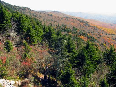 View from the mile high swinging bridge taken 10-19-2012
