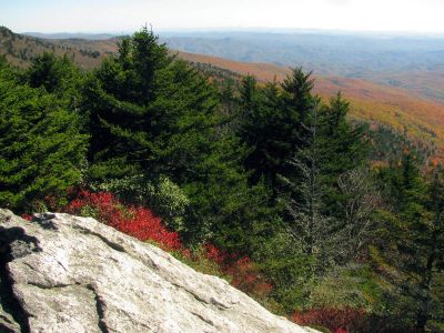 View from the mile high swinging bridge taken 10-19-2012
