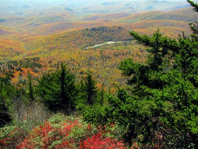 View of Beacon Heights from the mile high swinging bridge taken 10-19-2012

