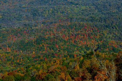 Taken 10-24-2014
