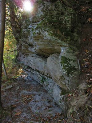 2542.jpg