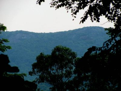 Taken 7-24-2012
