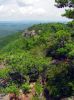 Filename=9105.jpg
Filesize=272KiB
Dimensions=800x1067
Date added=Jul 03, 2012 9105.jpg