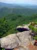 Filename=9106.jpg
Filesize=251KiB
Dimensions=800x1067
Date added=Jul 03, 2012 9106.jpg
