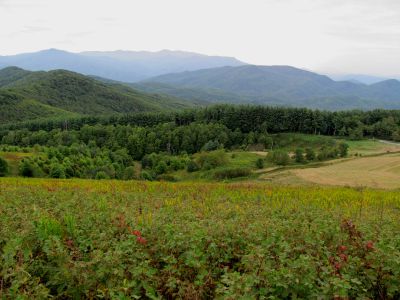 View from Max Patch 9-9-2010
