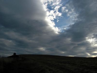 Max Patch 9-9-2010
