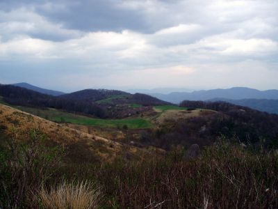 Max Patch  (4-2004) 
