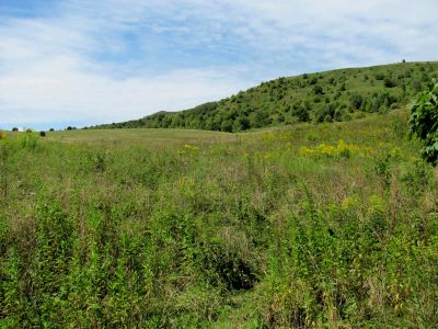 Max Patch  9-9-2010
