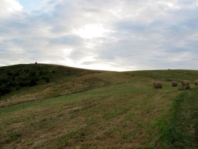 Max Patch  9-9-2010
