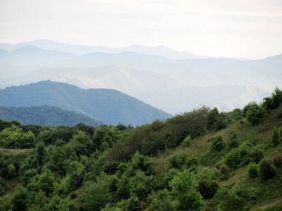 View from Max Patch  9-9-2010
