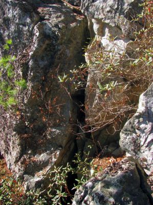 Top of the crack. 
