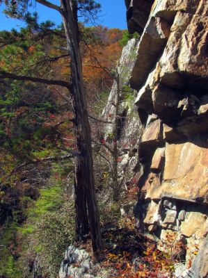 Following the narrow ledge 

