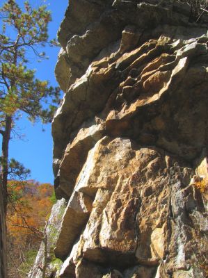 Cliff side along the ledge 
