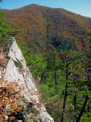 Big Pond Mtn  as seen over the point 
