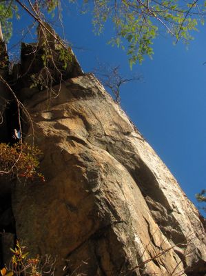 Looking up from the ledge 
