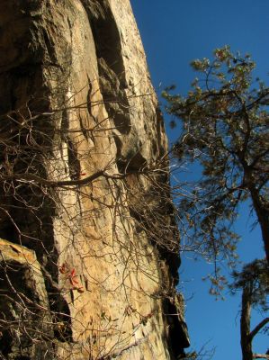 Cliff side view from along the ledge 
