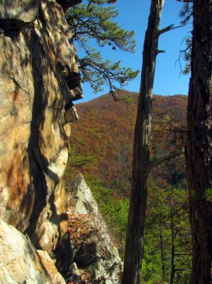 The ledge 
