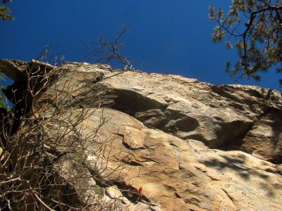 Looking up from the  ledge 
