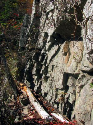 The undercut edge where the fanged critters live 
