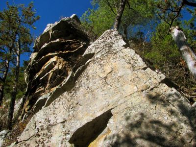 This is the view looking up  from just below the point (Fornication Point) where the rope landing zone is as we continue to climb lower on the main cliff spine 
