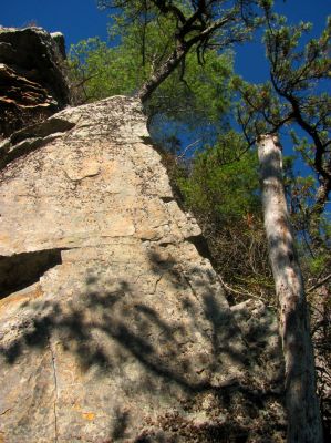 This is the view looking up  from just below the point (Fornication Point) where the rope landing zone is as we continue to climb lower on the main cliff spine 
