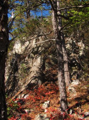Looking back at a small portion of the drops we had to encounter to get down to the Diamond Rock 
