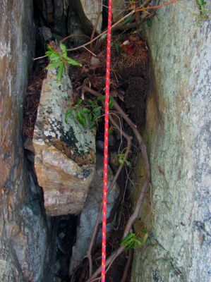 Once on top of the pine tree root there is still much vertical to go but its much easier since there are places to get a toe in where below it there is nothing. 

